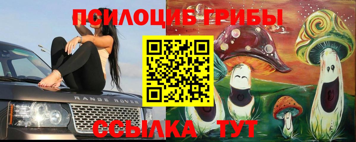 Боровичи  Галлюциногенные грибы MAGIC MUSHROOMS  Вход с VPN 